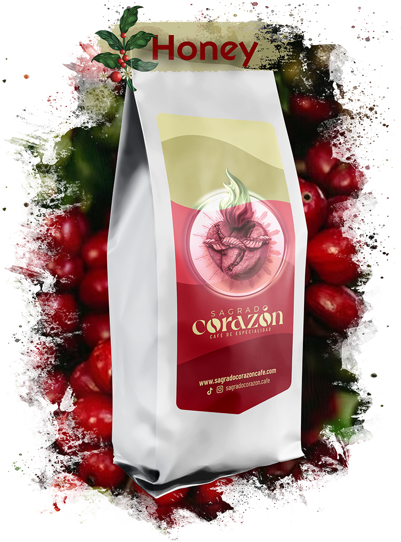 Grano de Café Castillo Procesado Honey